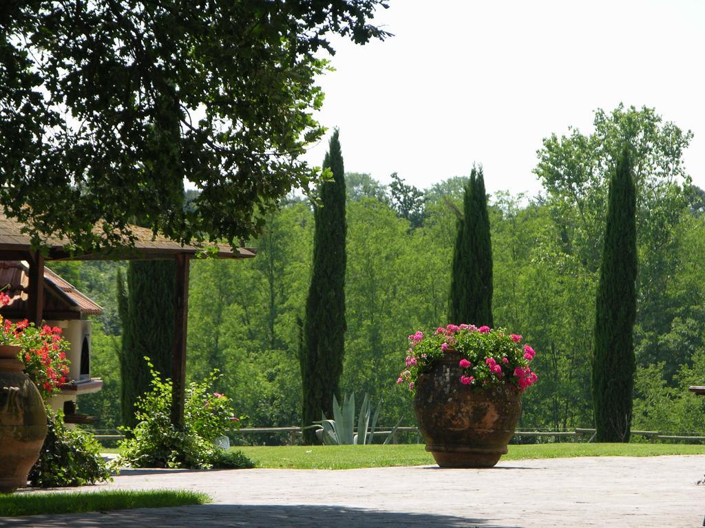 Podere Il Giurato Fauglia المظهر الخارجي الصورة