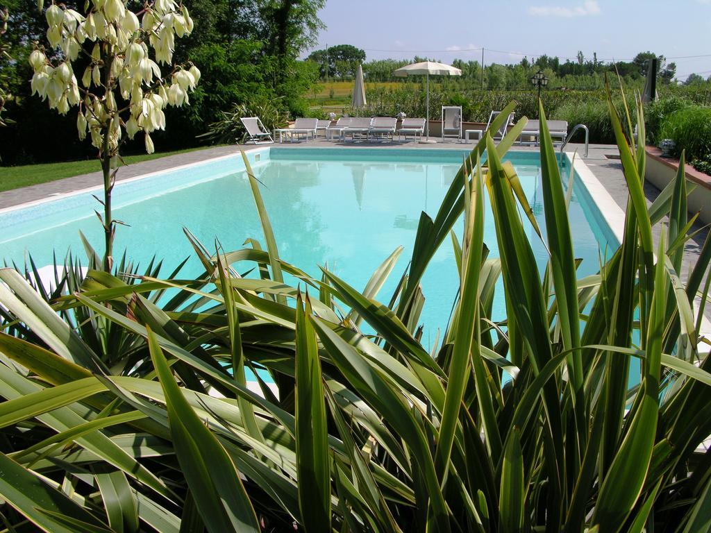 Podere Il Giurato Fauglia المظهر الخارجي الصورة