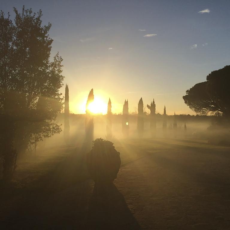 Podere Il Giurato Fauglia المظهر الخارجي الصورة
